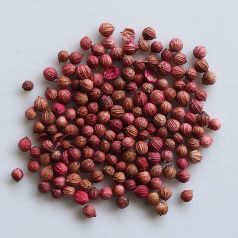 Organic Coriander Leaves Seeds - Open Pollinated