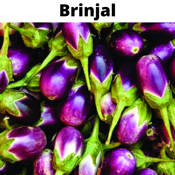Essential Vegetable Seeds Bundle