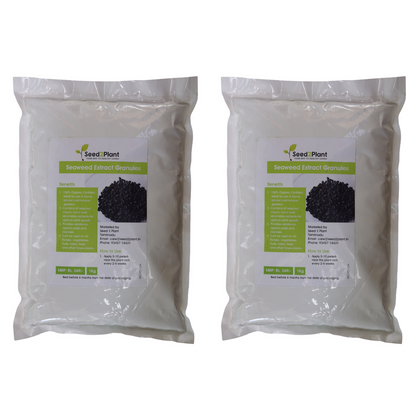 Organic Seaweed Extract Granules Growth Promoter 1 Kg