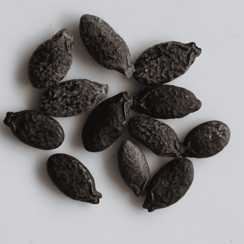 Organic Ridge Gourd Seeds - Open Pollinated