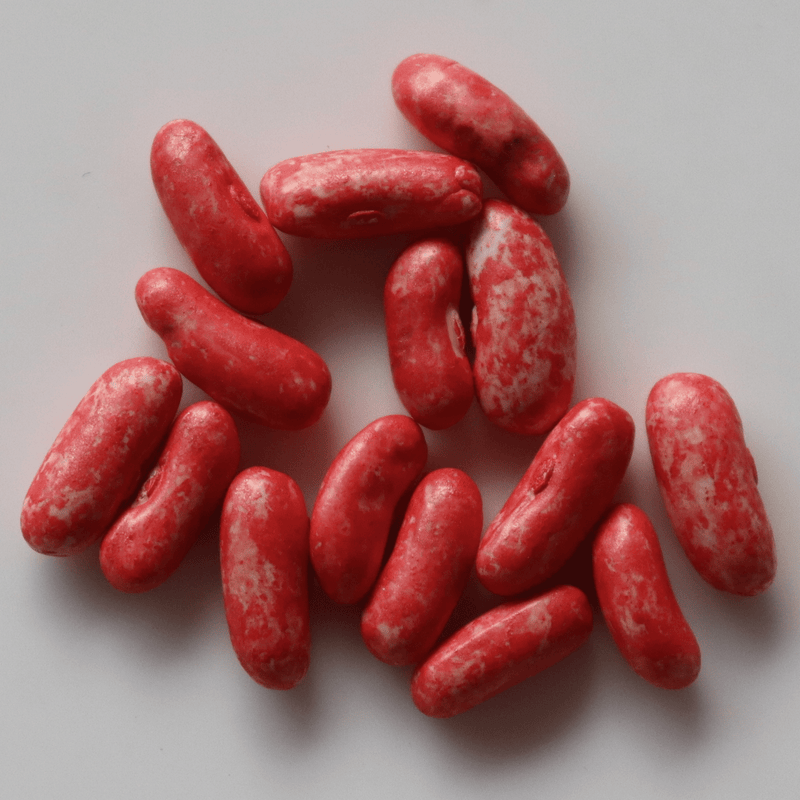 Organic Bush Beans Seeds - Open Pollinated