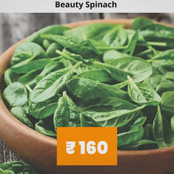 Pack of 6 Types of Spinach Seeds