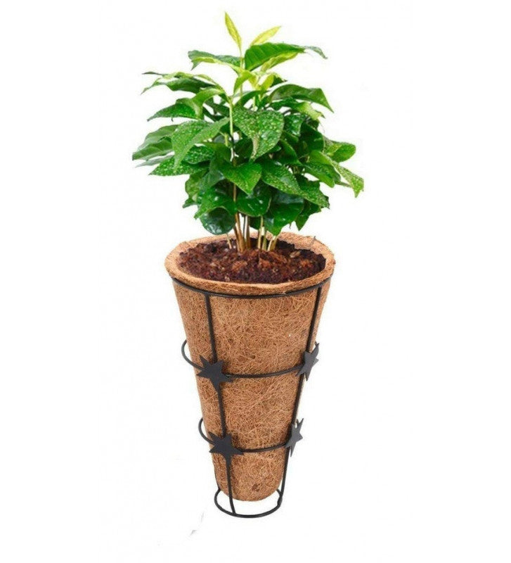 5 Inch Coir Conical Hanging Pot with Metal Basket and Metal Chain