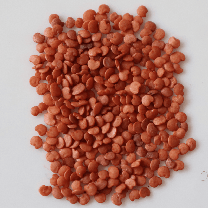 Organic Violet Brinjal Seeds - Open Pollinated