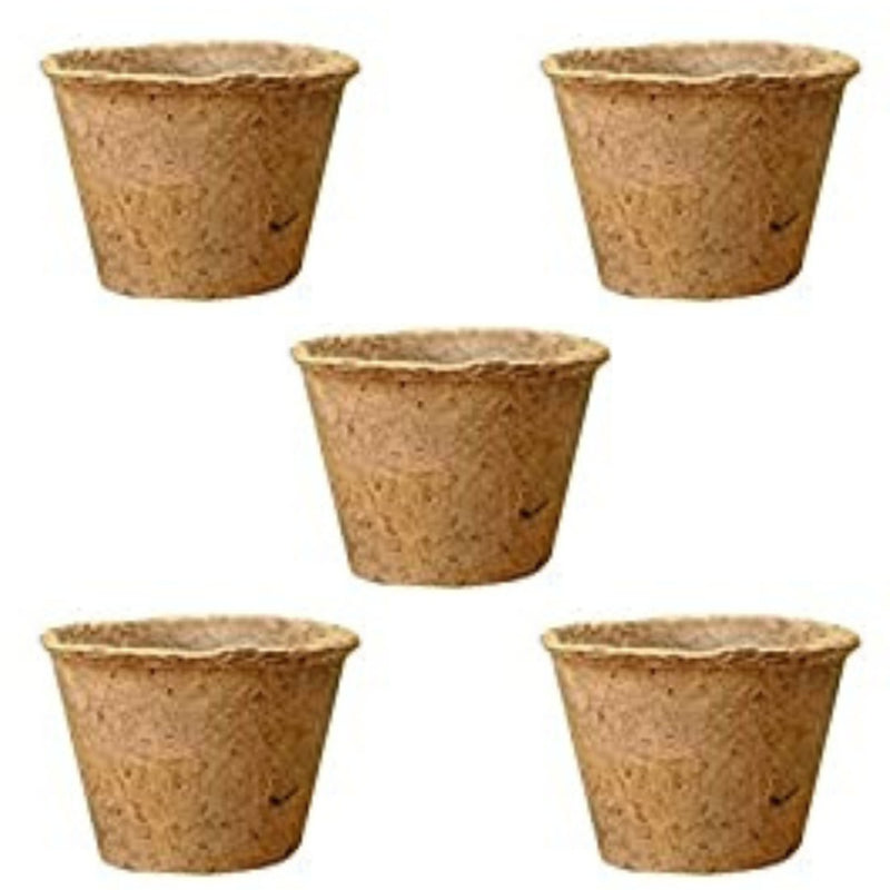 6 Inch Coir Pot