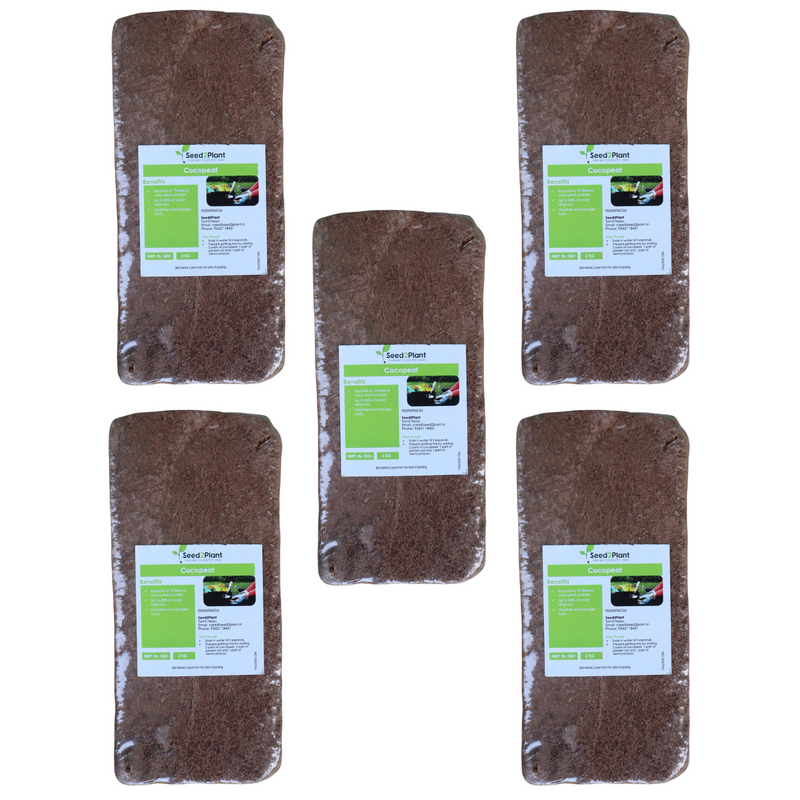 Premium quality Coco Peat - Sieved & Washed