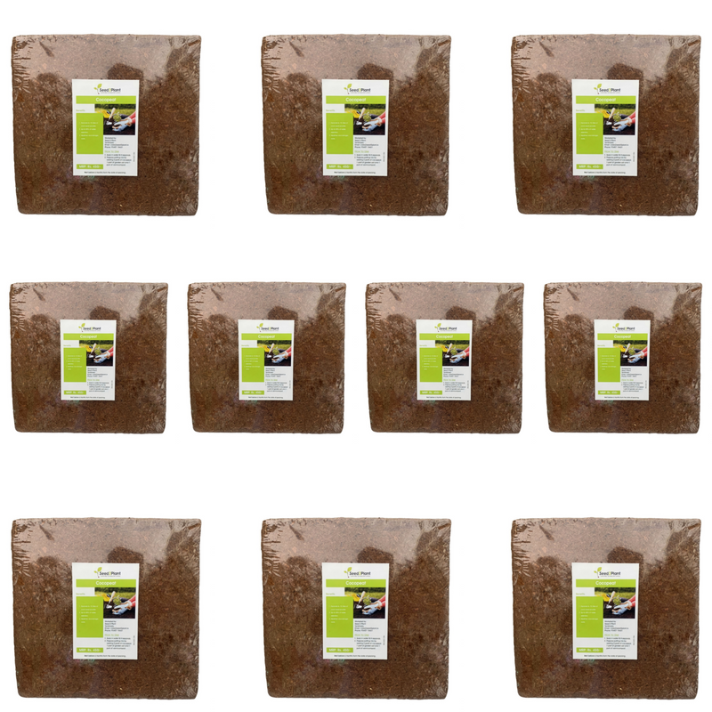 Premium quality Coco Peat - Sieved & Washed