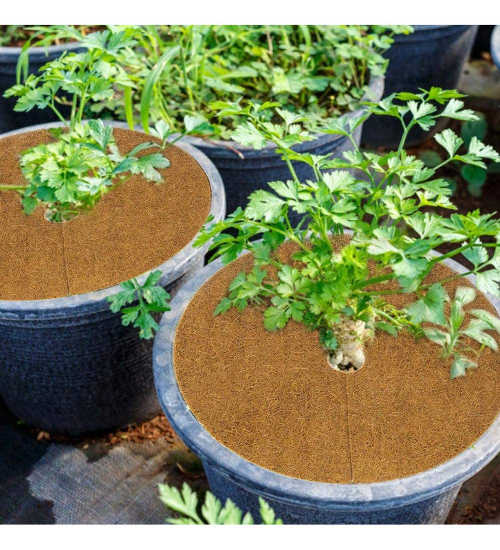 8 Inch Coir Fiber Mulch Mat (Pack of 10)