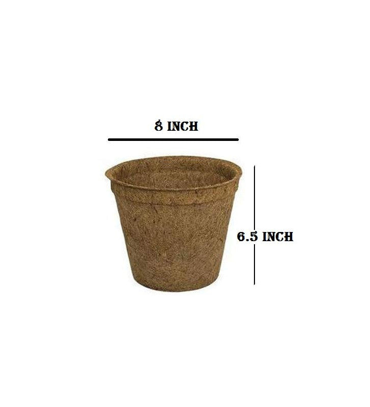 8 Inch Coir Pot