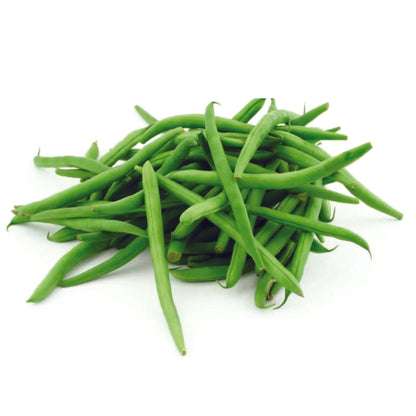 Organic Bush Beans Seeds - Open Pollinated