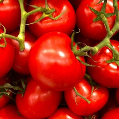 Organic Cherry Tomato Seeds - Open Pollinated