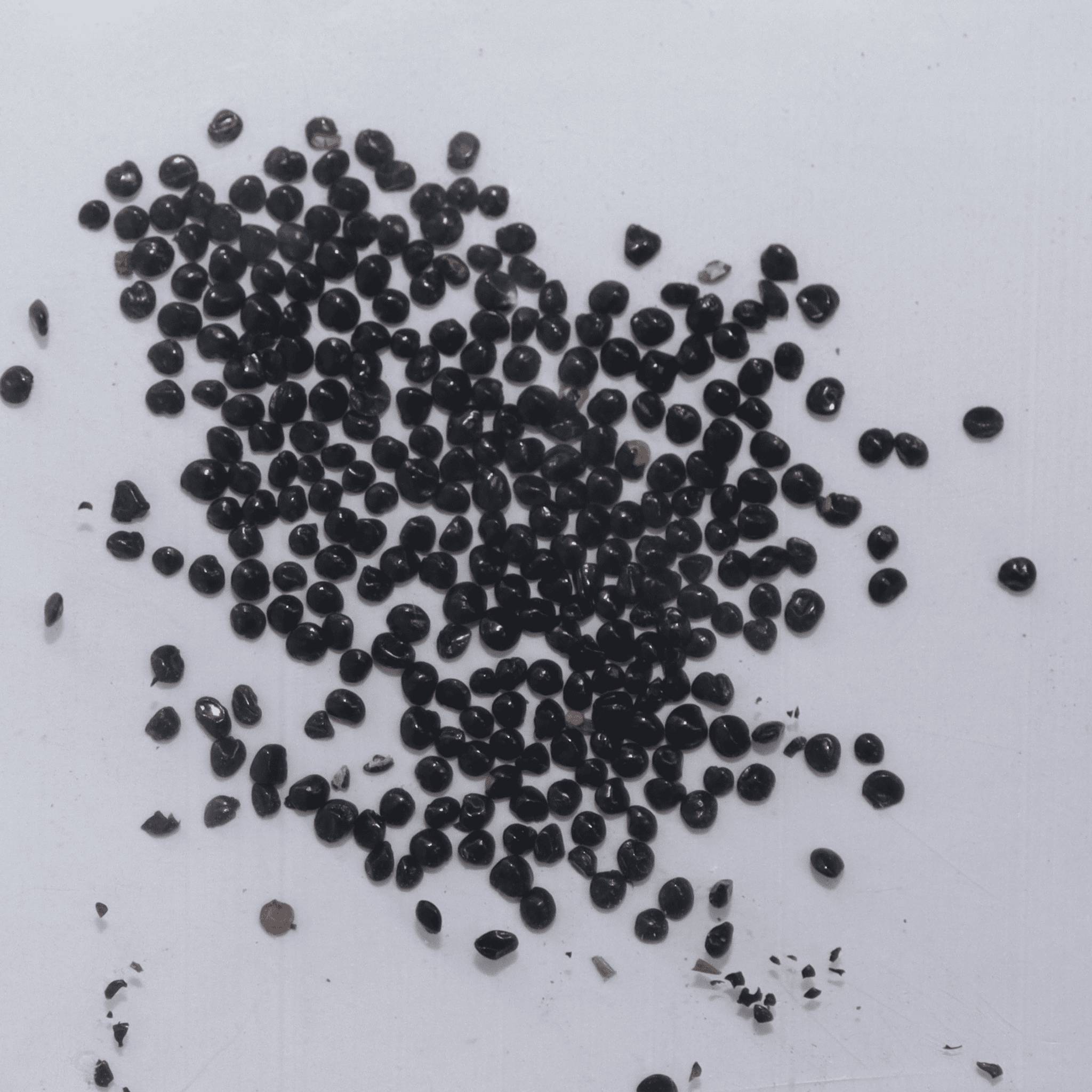 Cockscomb Jewel Box Mix Seeds