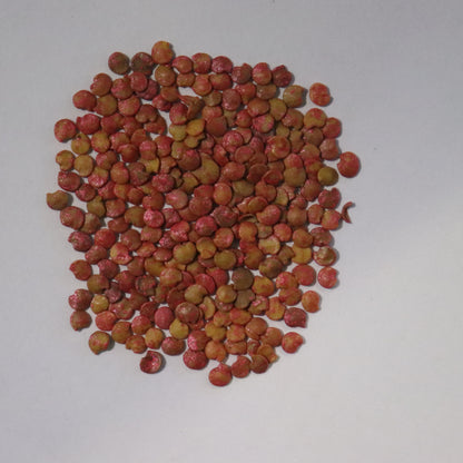 Organic Vengeri Brinjal Long Seeds - Open Pollinated
