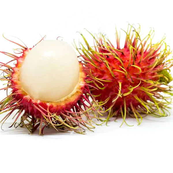 Rambutan Rongrien Live Plant