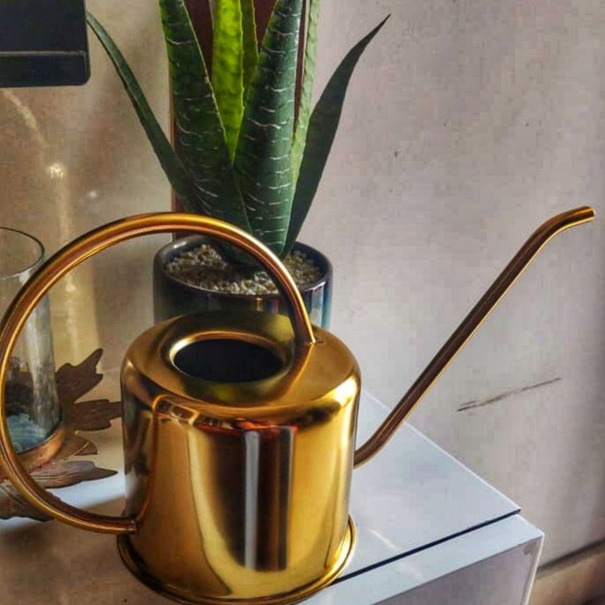 Metal Watering Can Gold Colour Seed2Plant   MetalWateringCan GoldColour 