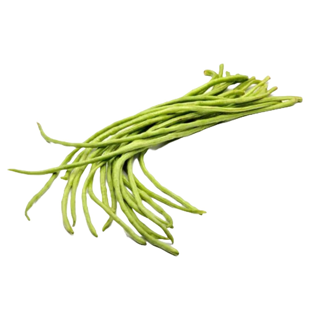 Organic Long Beans Seeds - Open Pollinated