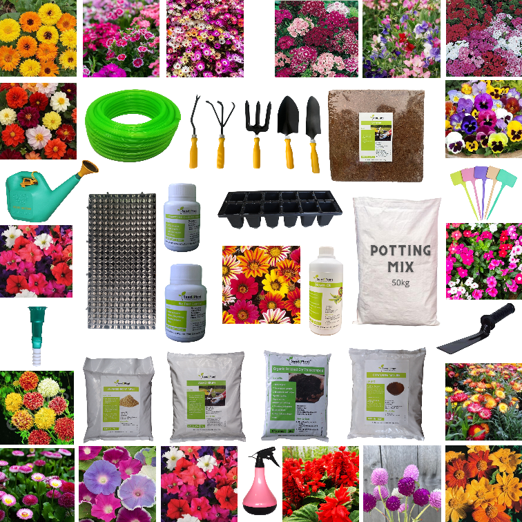 The Blossom - All Inclusive Flower Terrace Garden Kit