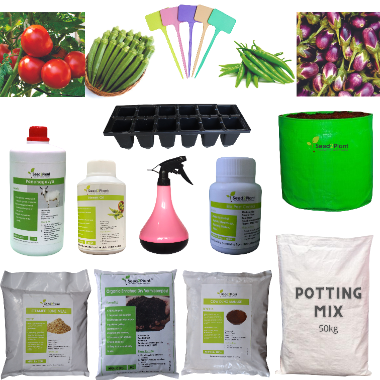 basic-vegetable-terrace-garden-kit-seed2plant