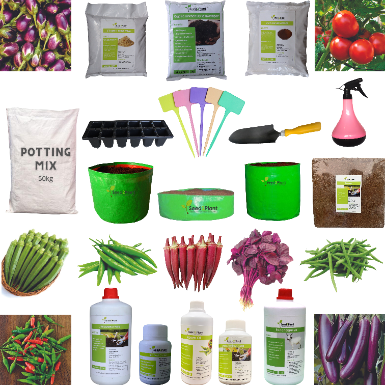 Starter Vegetable Terrace Garden Kit