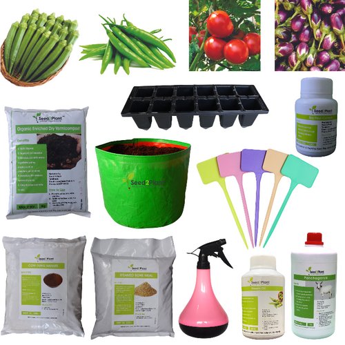 Basic Vegetable Terrace Garden Kit (Without Potting Soil)