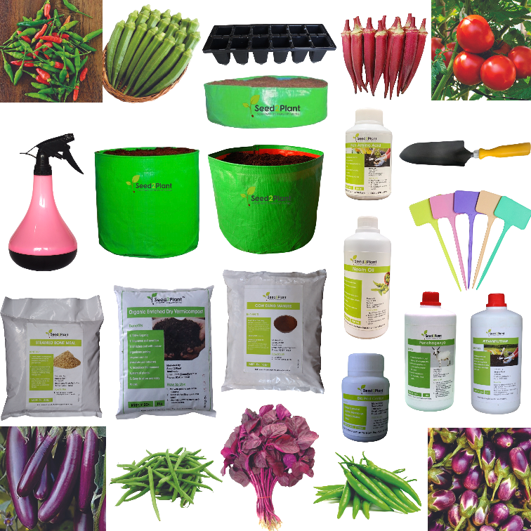 Starter Vegetable Terrace Garden Kit (Without Potting Soil)