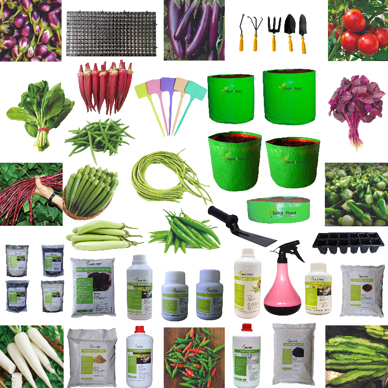 Essential Vegetable Terrace Garden Kit (Without Potting Soil)