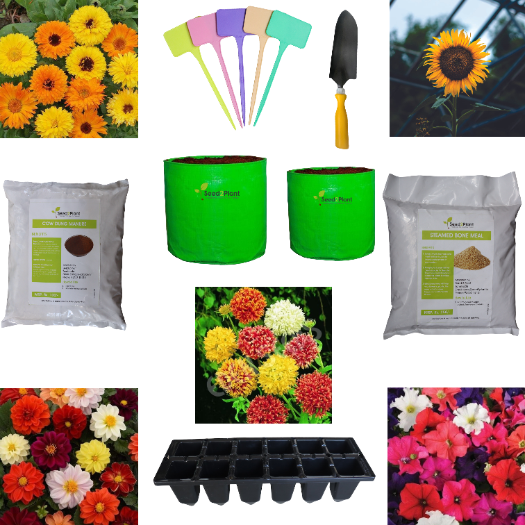 The Bud - Starter Flower Terrace Garden Kit (Without Potting Soil)