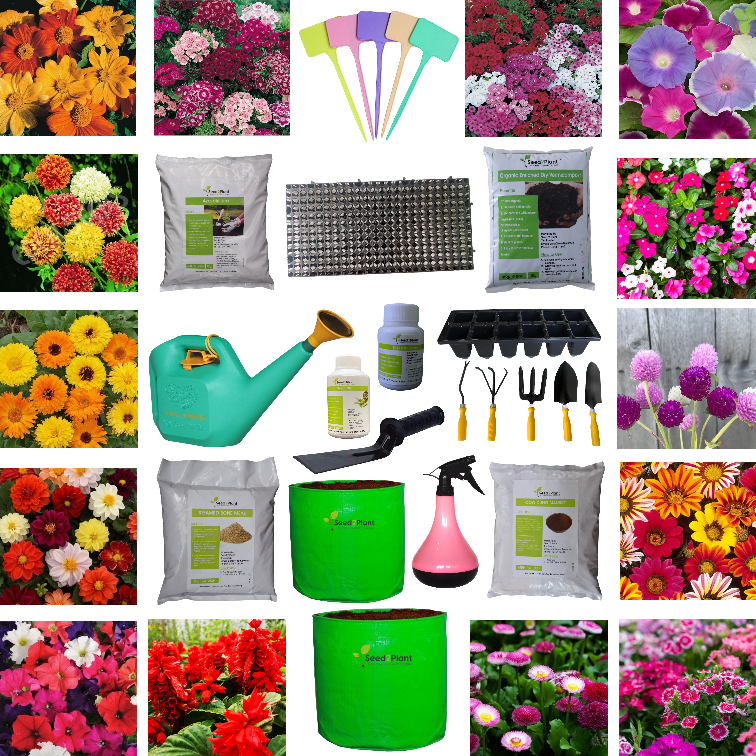 The Bloom - Premium Flower Terrace Garden Kit (Without Potting Soil)