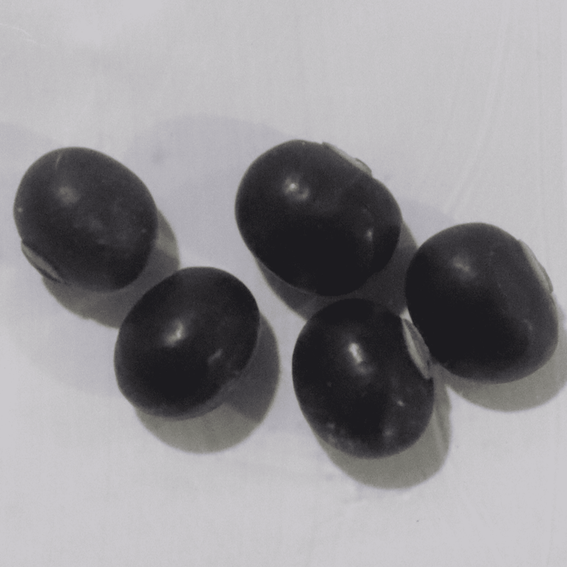 Organic Purple Winged Beans Seeds - Open Pollinated