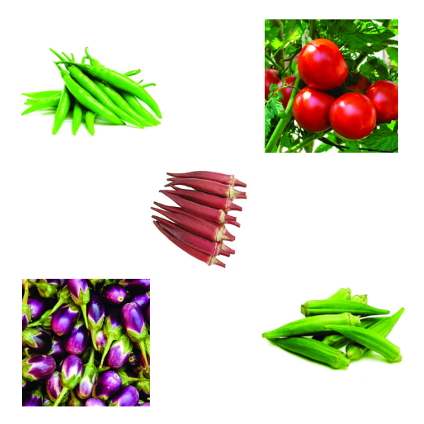 Essential Vegetable Seeds Bundle