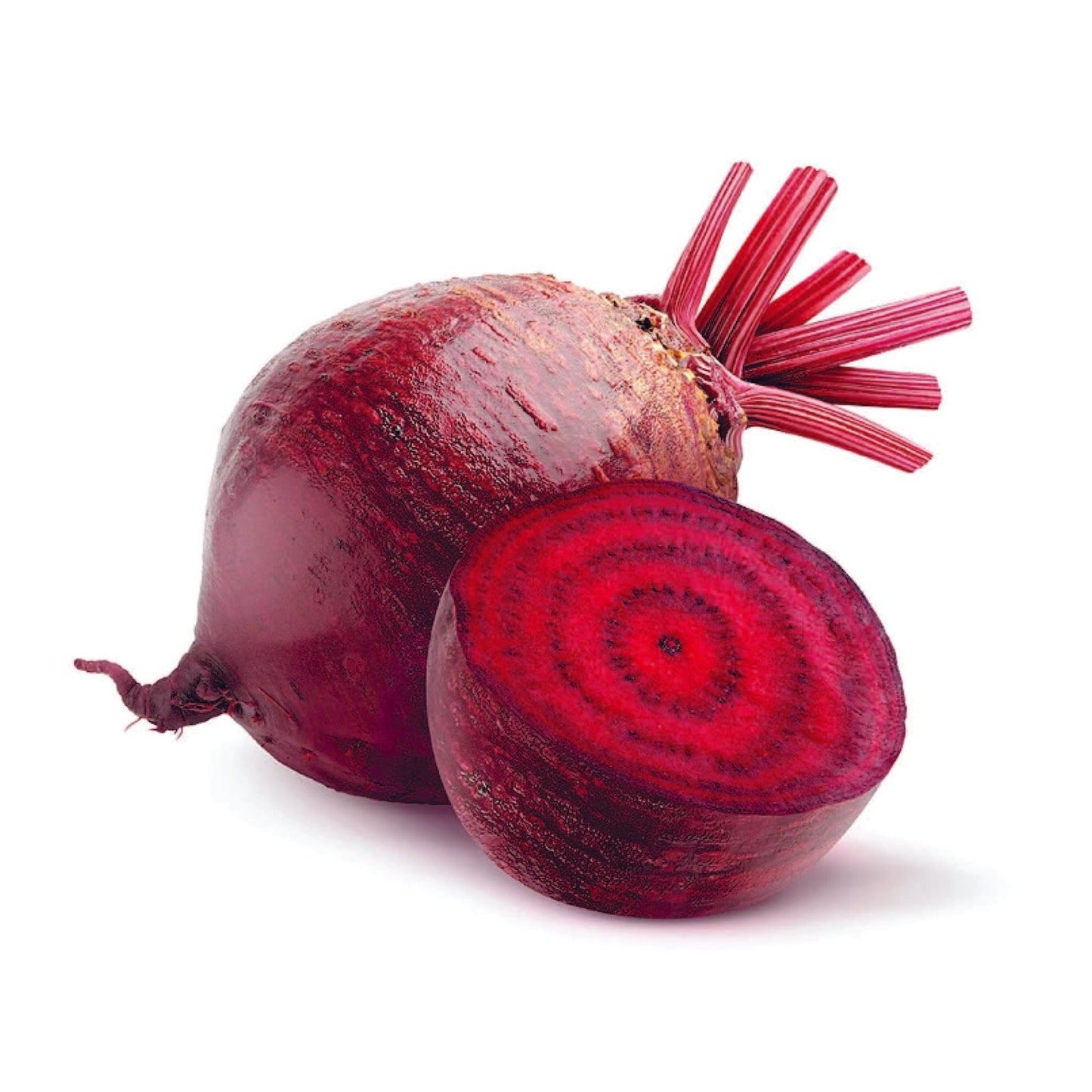 Organic Beetroot Seeds - Open Pollinated