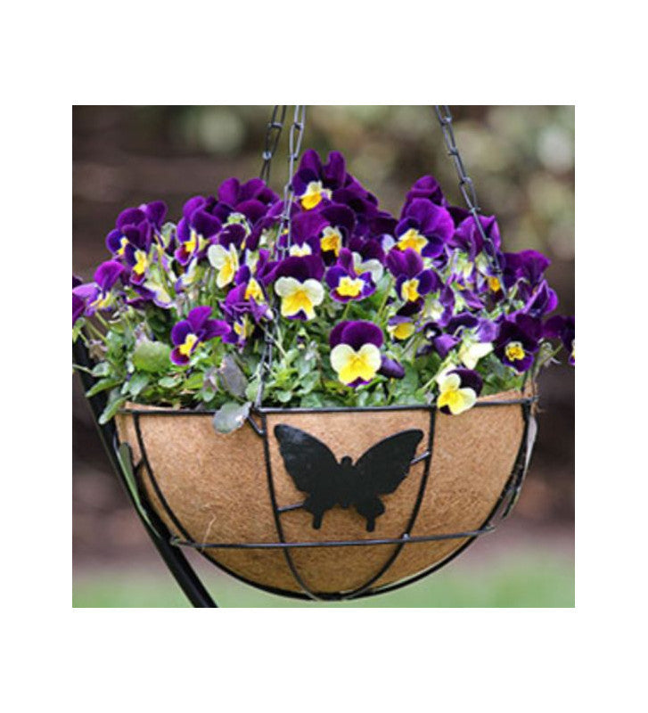 12 Inch Coir Hanging Pot With Liner and Chain full Set(Butterfly Basket)