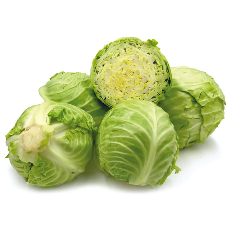 Organic Cabbage Seeds -