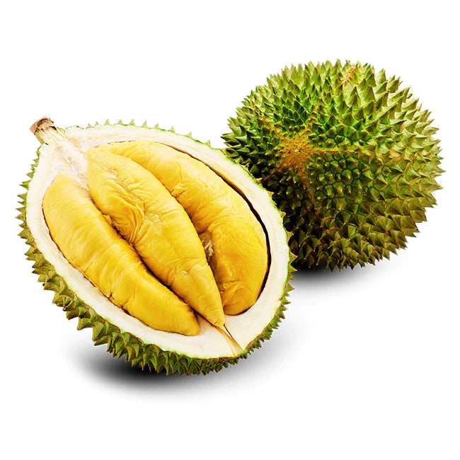 Durian Fruit Live Plant