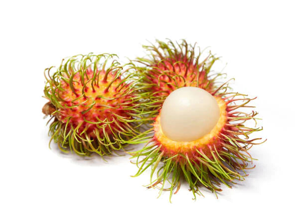 Rambutan Rongrien Live Plant