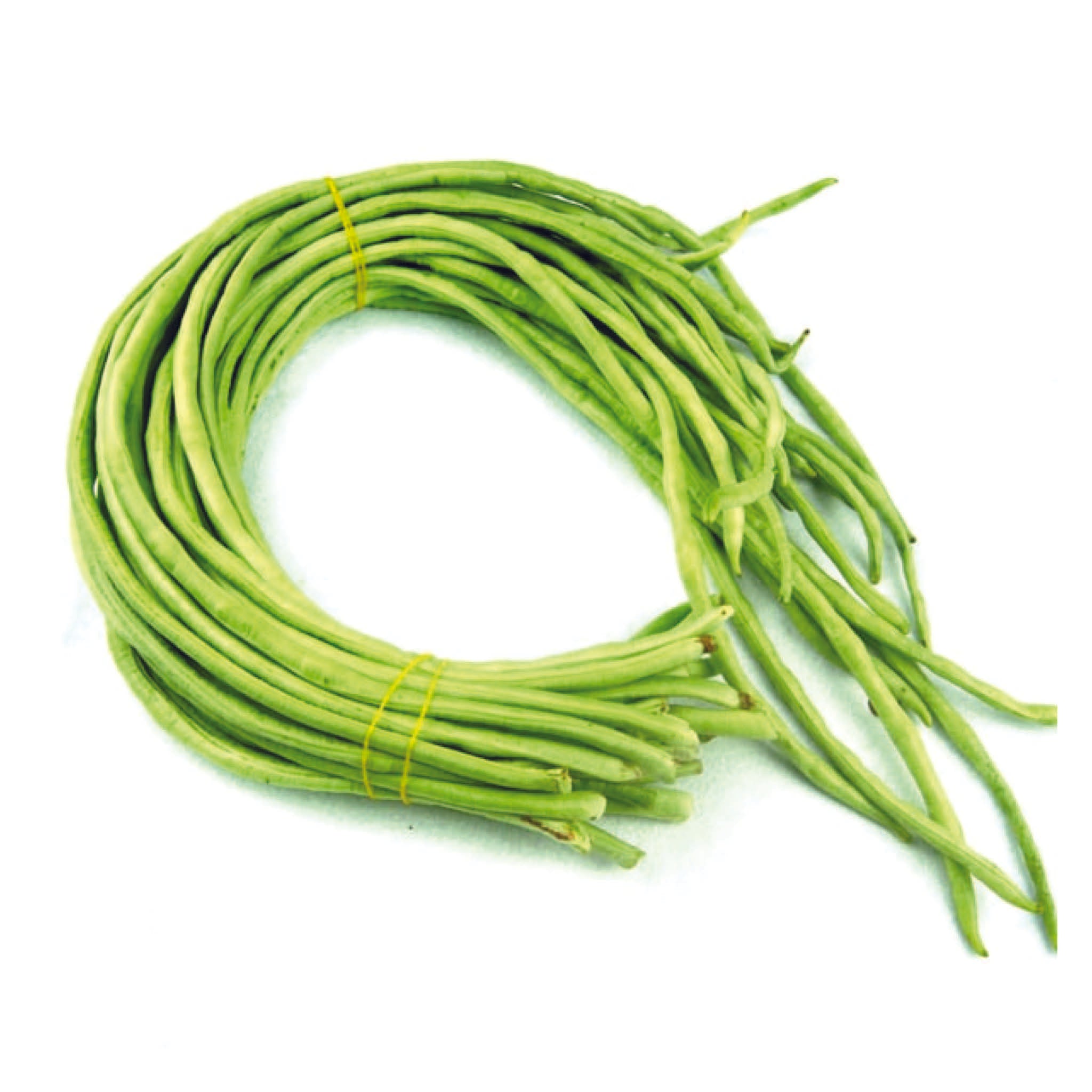 Organic Yard Long Beans Seeds - Open Pollinated