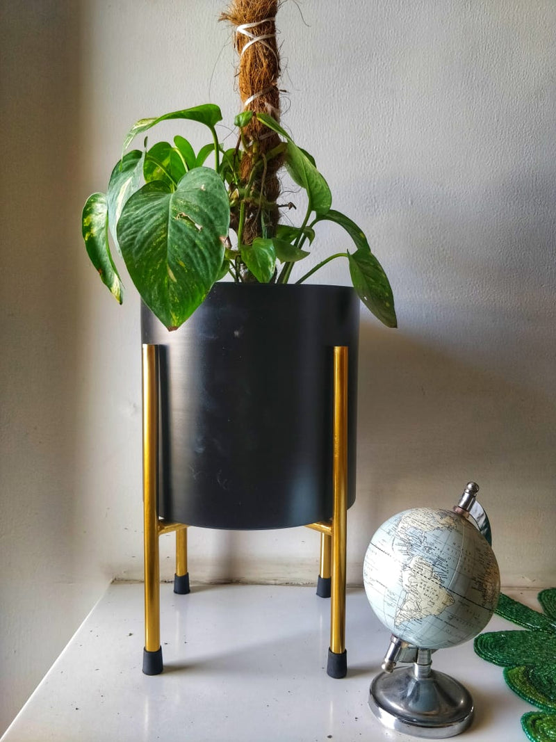 Metal Planter - Black with Golden Colour Stand