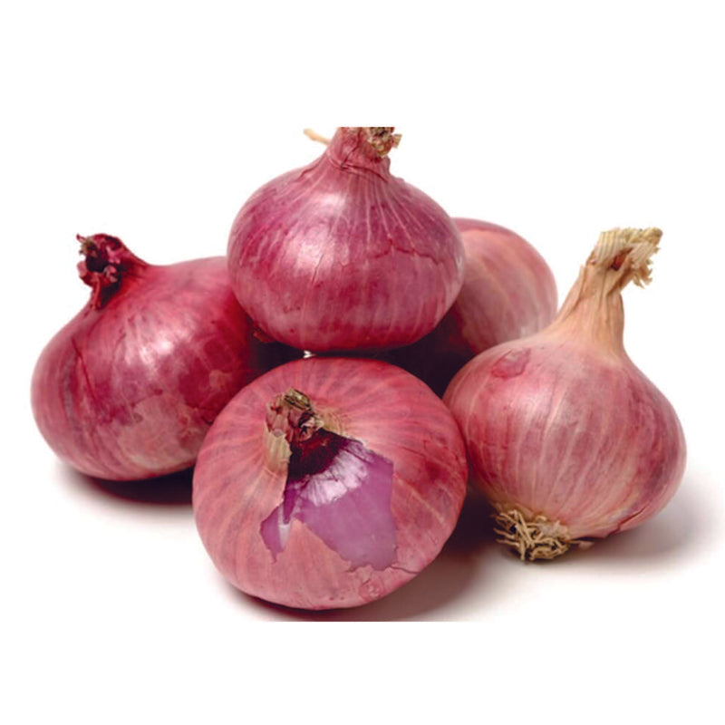 Organic Onion Seeds - Open Pollinated