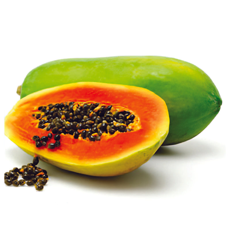Organic Red Lady Papaya Seeds - Open Pollinated