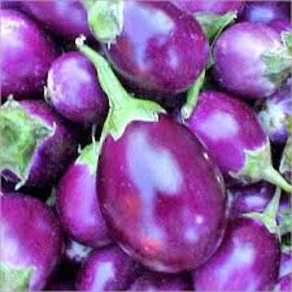 Organic Purple Round Brinjal Seeds - Open Pollinated