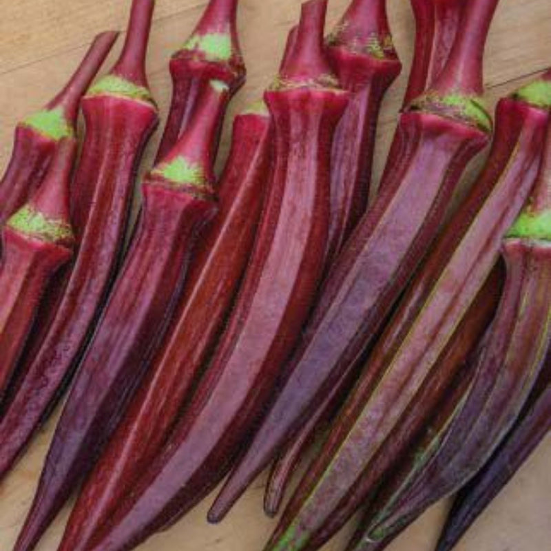 Organic Long Red Okra Seeds - Open Pollinated