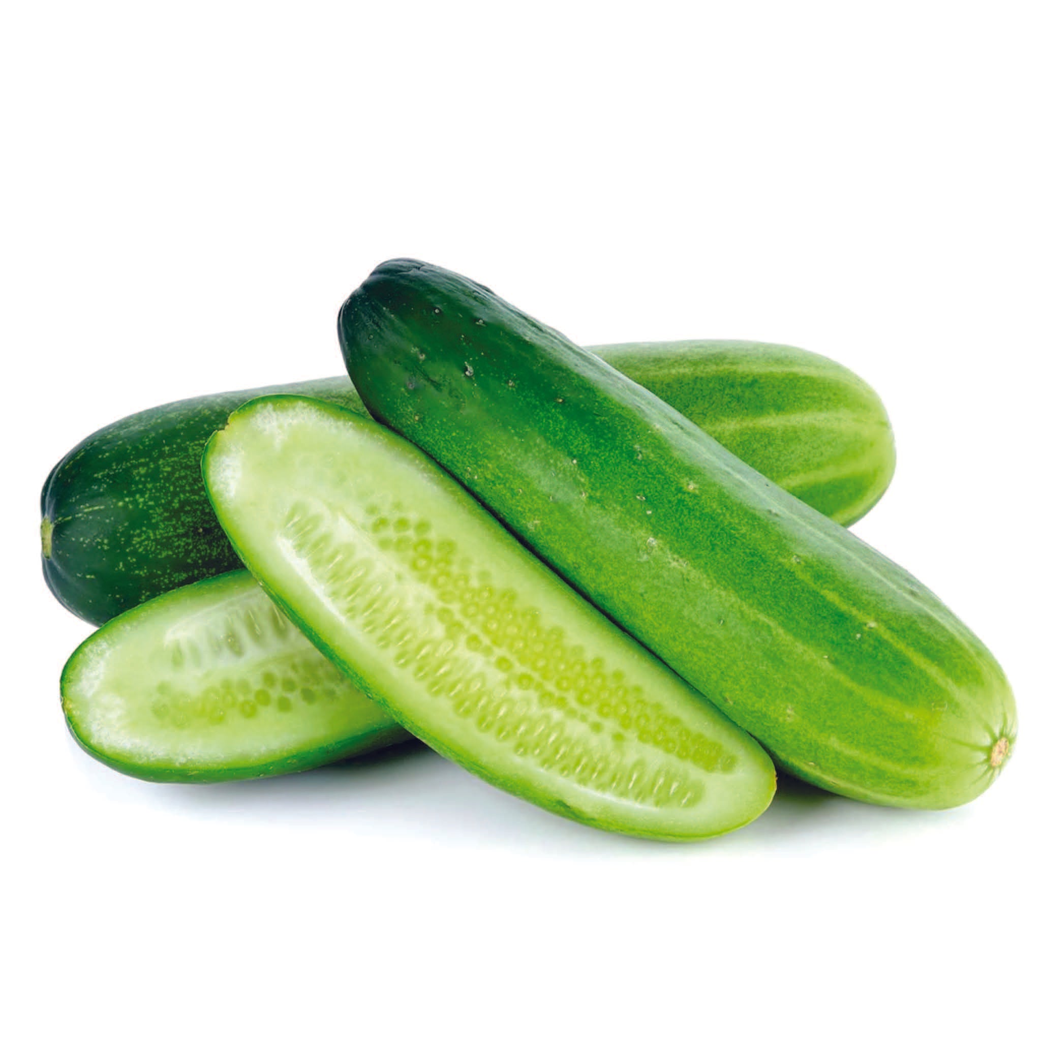 Organic Green Salad Cucumber Seeds - Open Pollinated