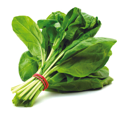 Organic Palak Spinach Seeds - Open Pollinated