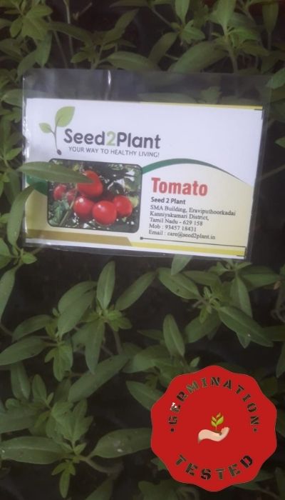 Planting deals tomato seeds