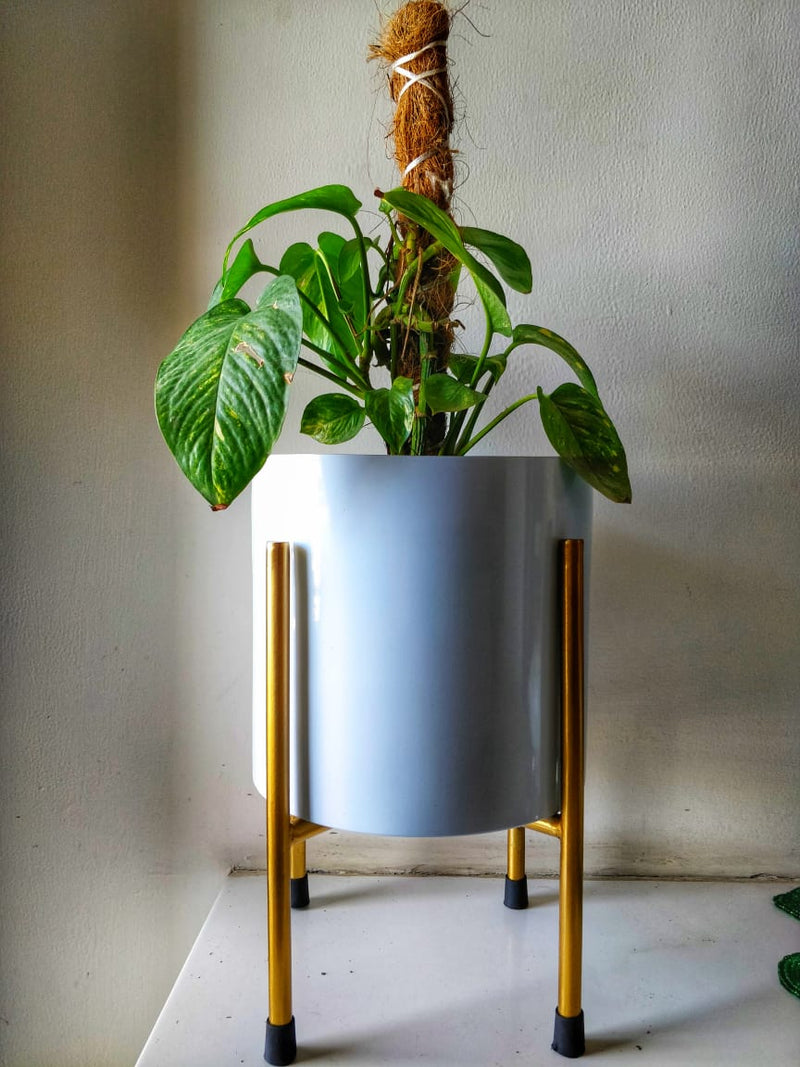 Metal Planter - White with Golden Colour Stand